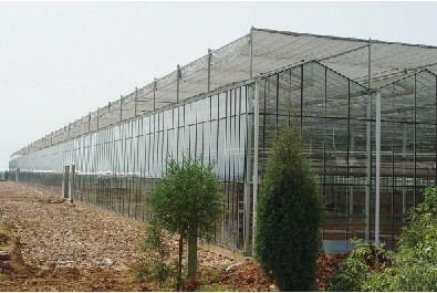 玻璃溫室大棚