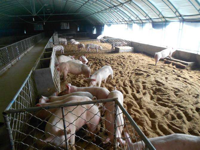 溫室養(yǎng)殖大棚