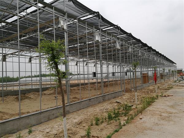 溫室養(yǎng)殖大棚