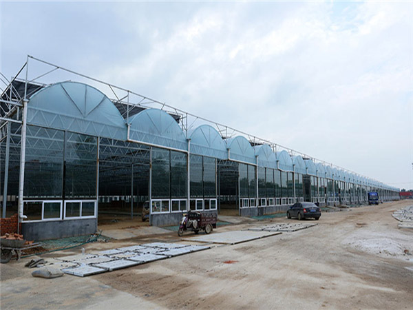玻璃溫室大棚