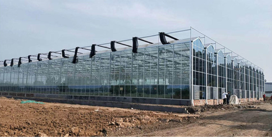 玻璃溫室大棚