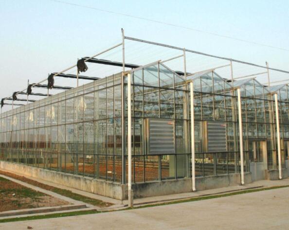 溫室大棚實(shí)拍